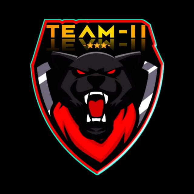 team logo