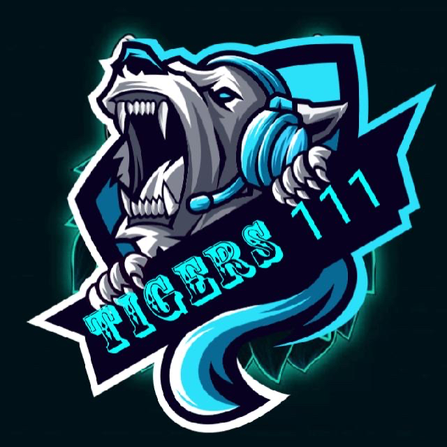 team logo