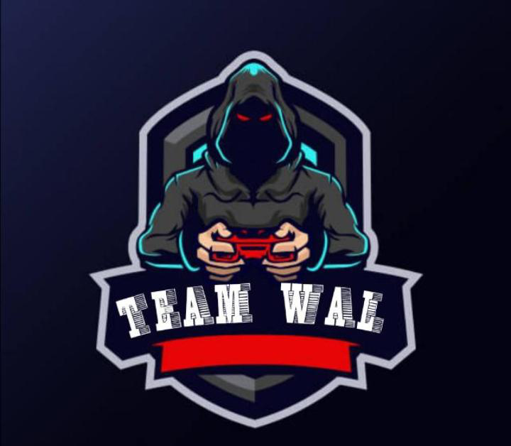 team logo