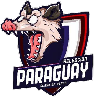 team logo