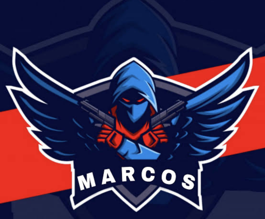 team logo