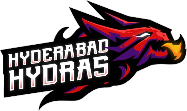 team logo