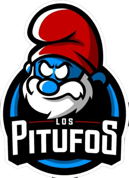 team logo