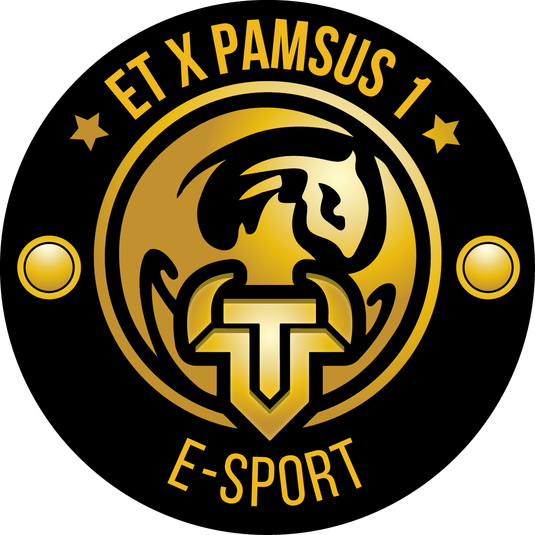 team logo