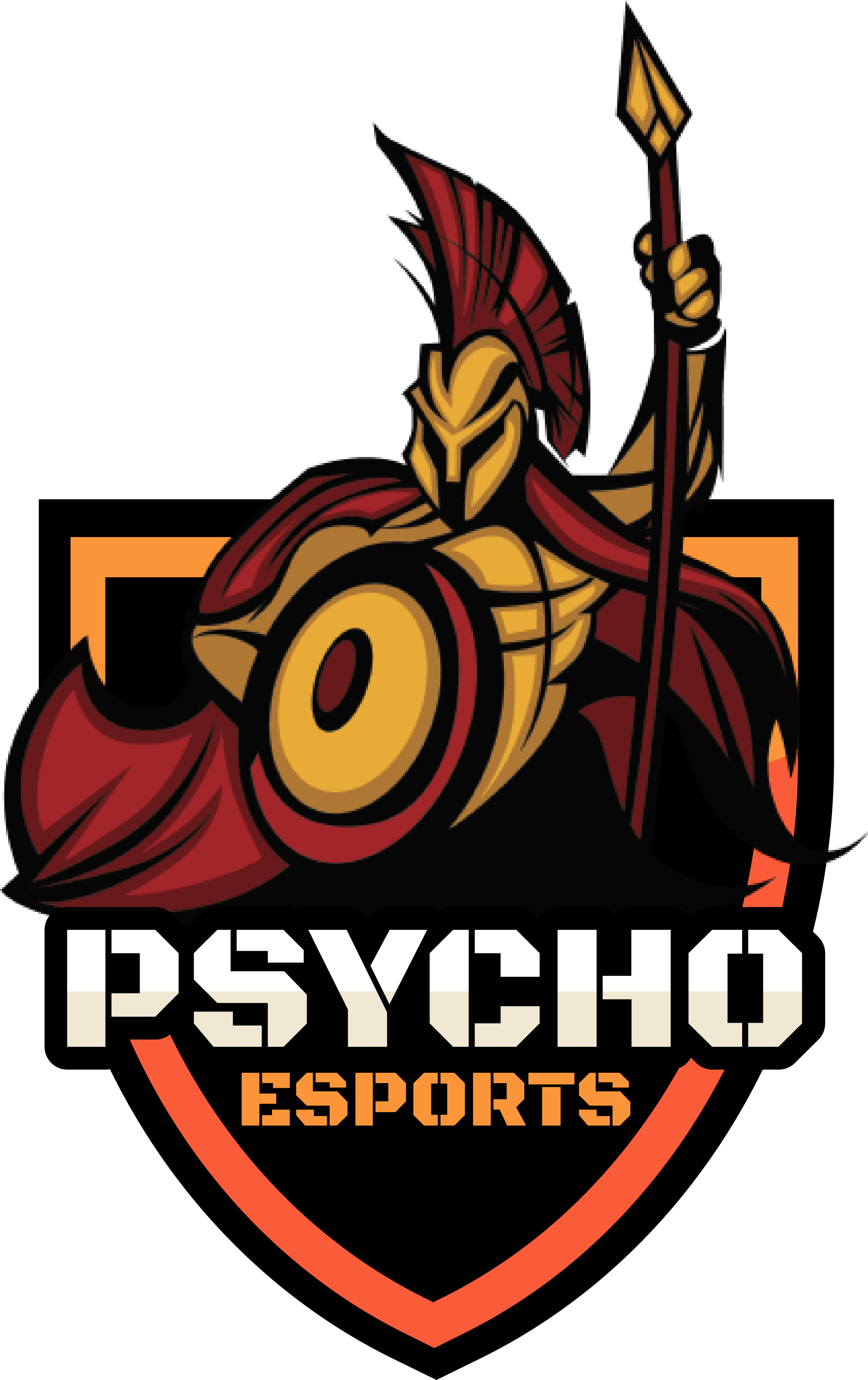 team logo