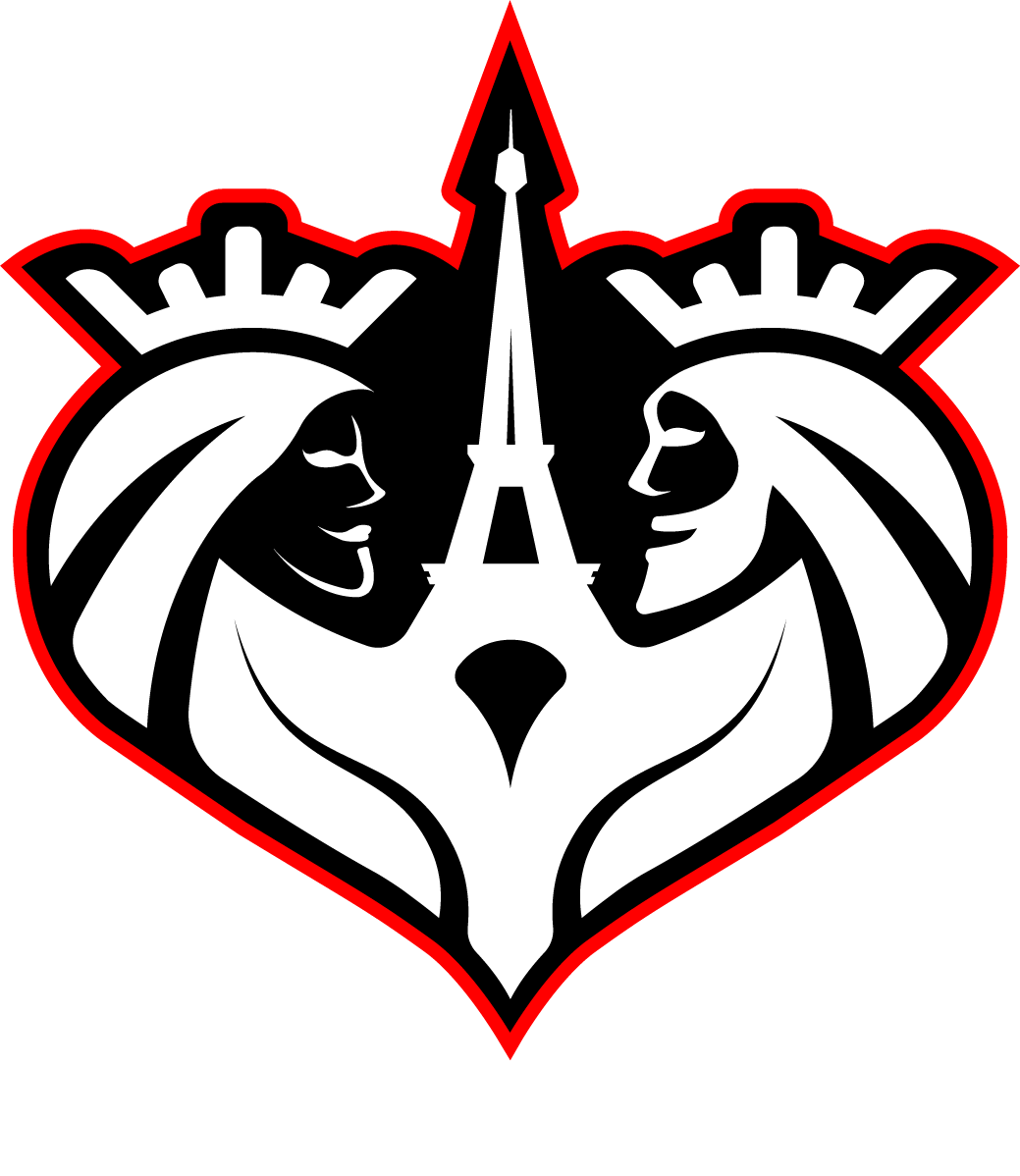 team logo