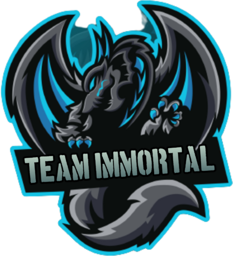 team logo