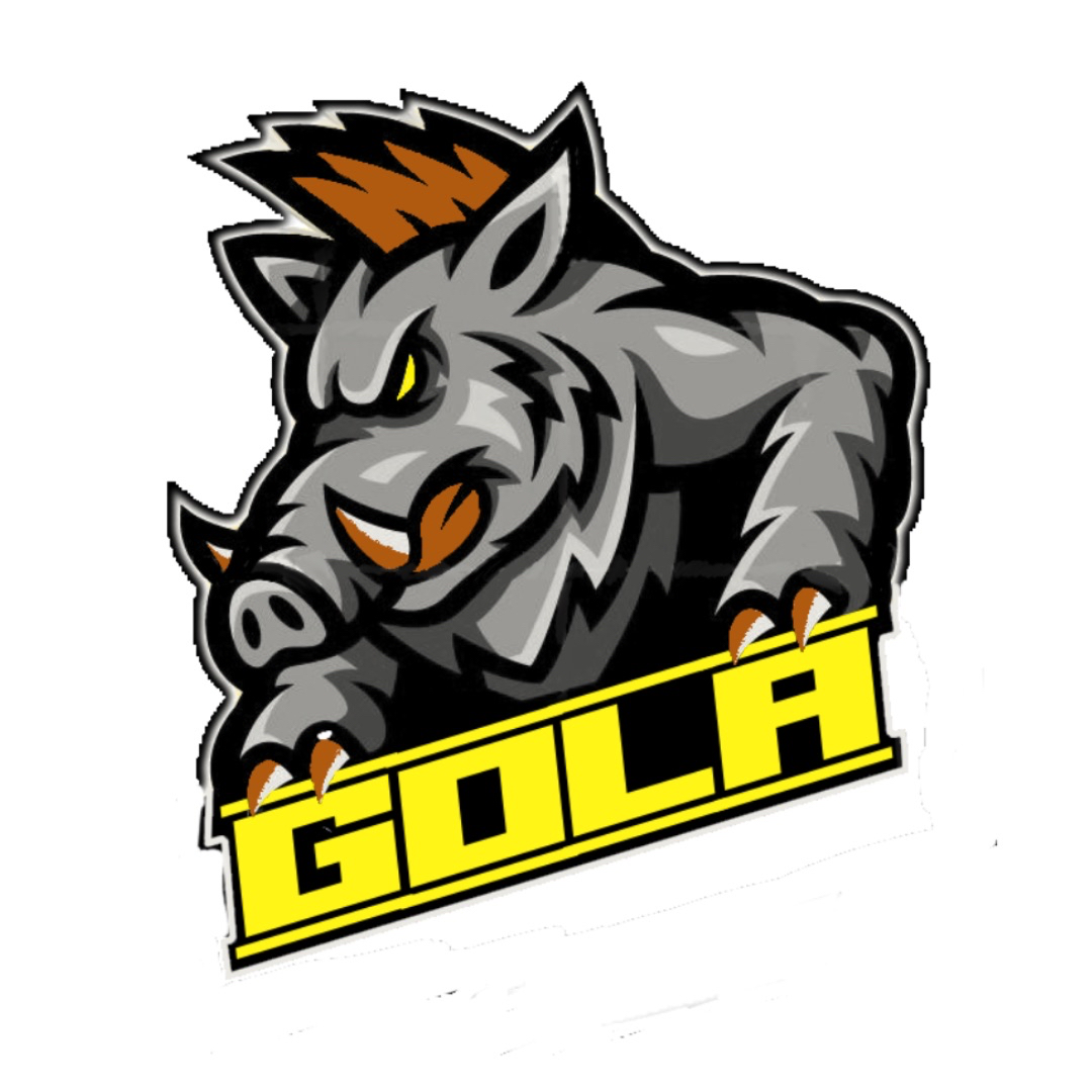 team logo