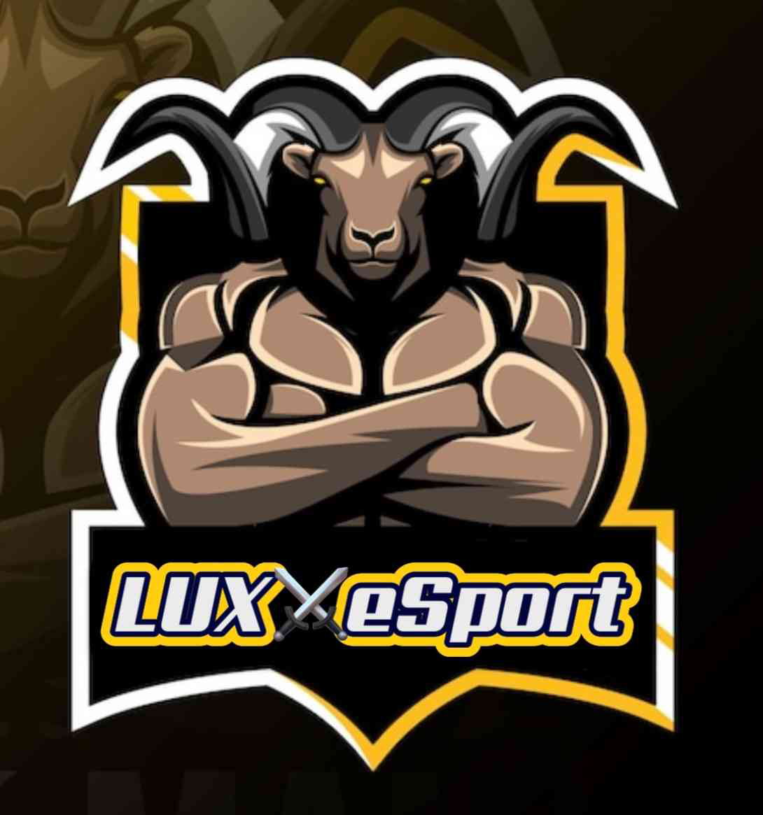 team logo