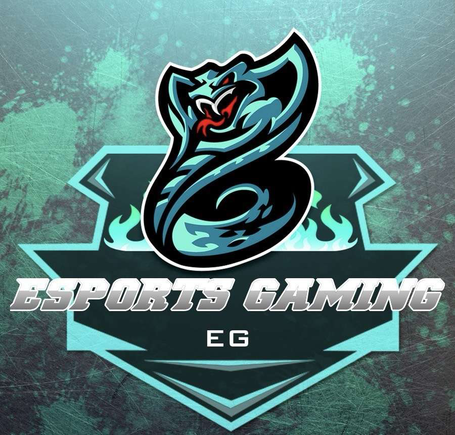 team logo