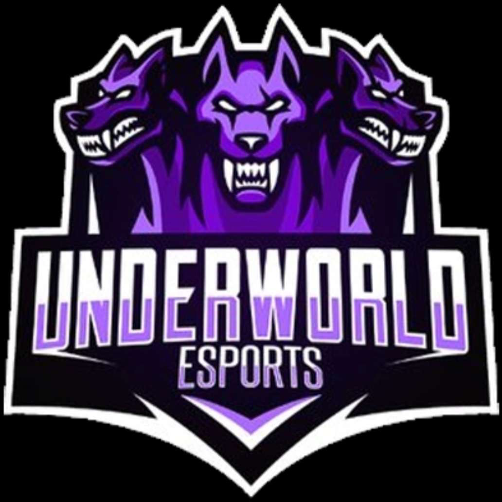 team logo