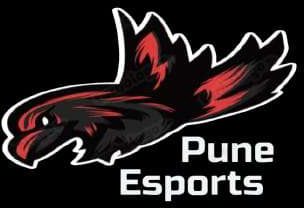 team logo