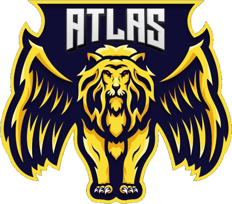 team logo