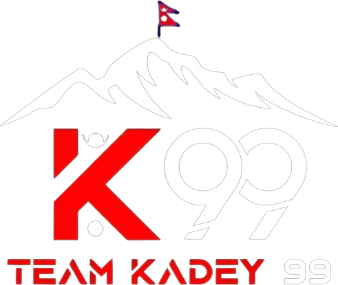 team logo