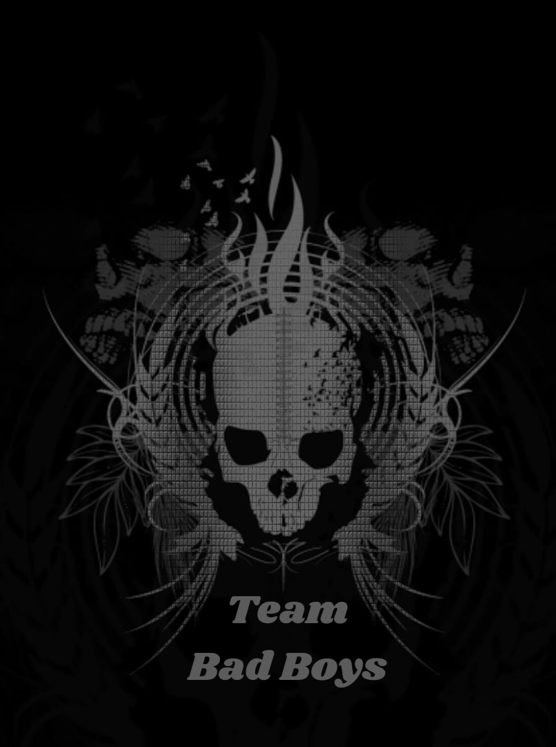 team logo