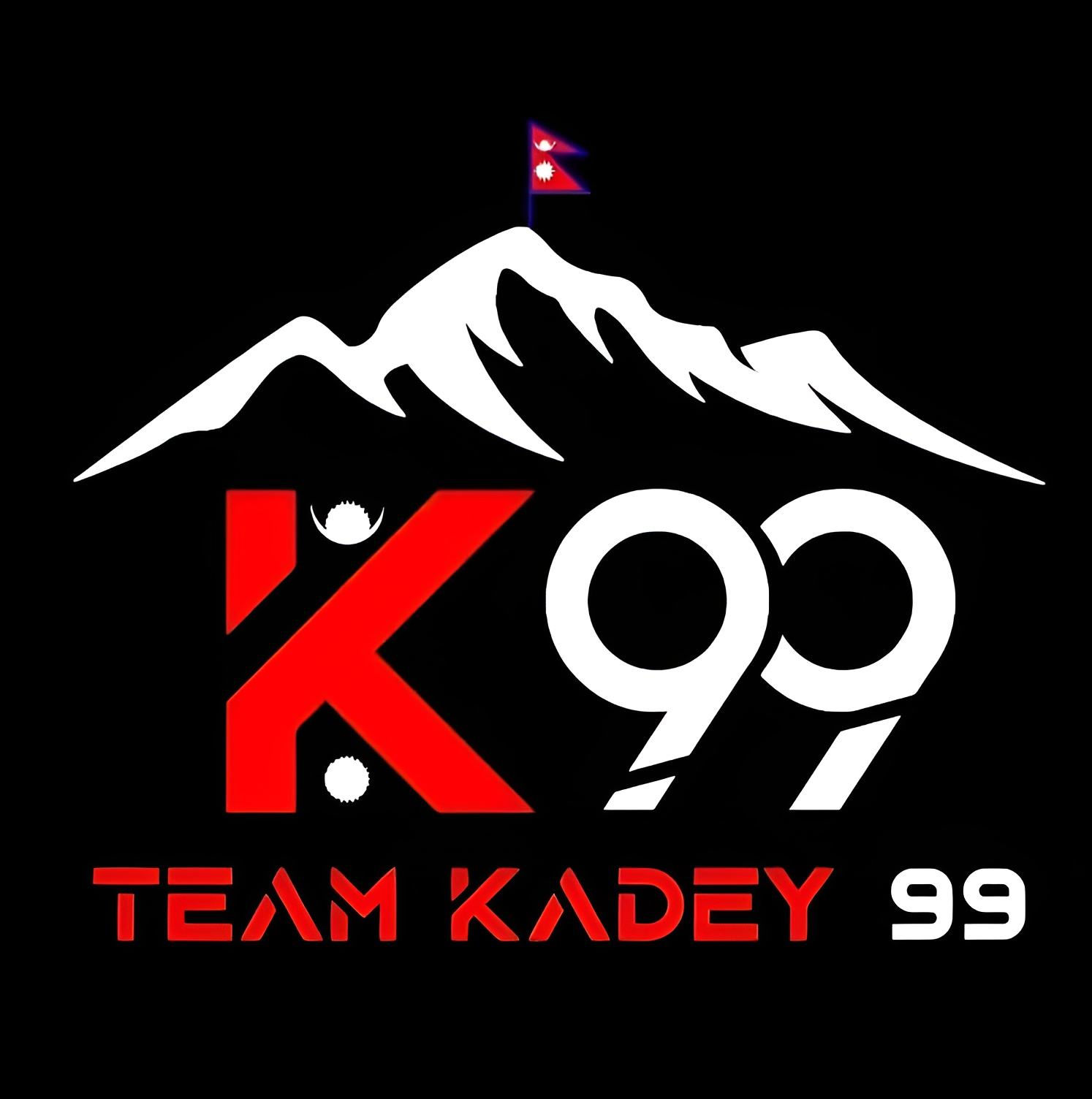 team logo