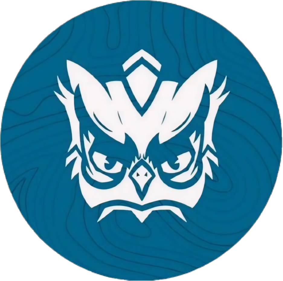 team logo