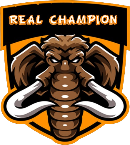 team logo