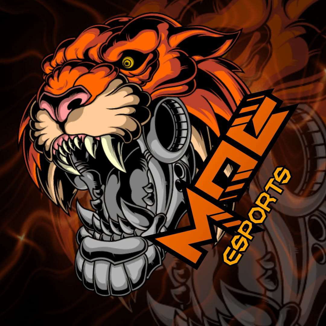 team logo