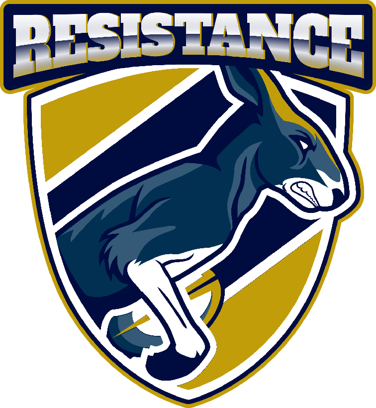 team logo