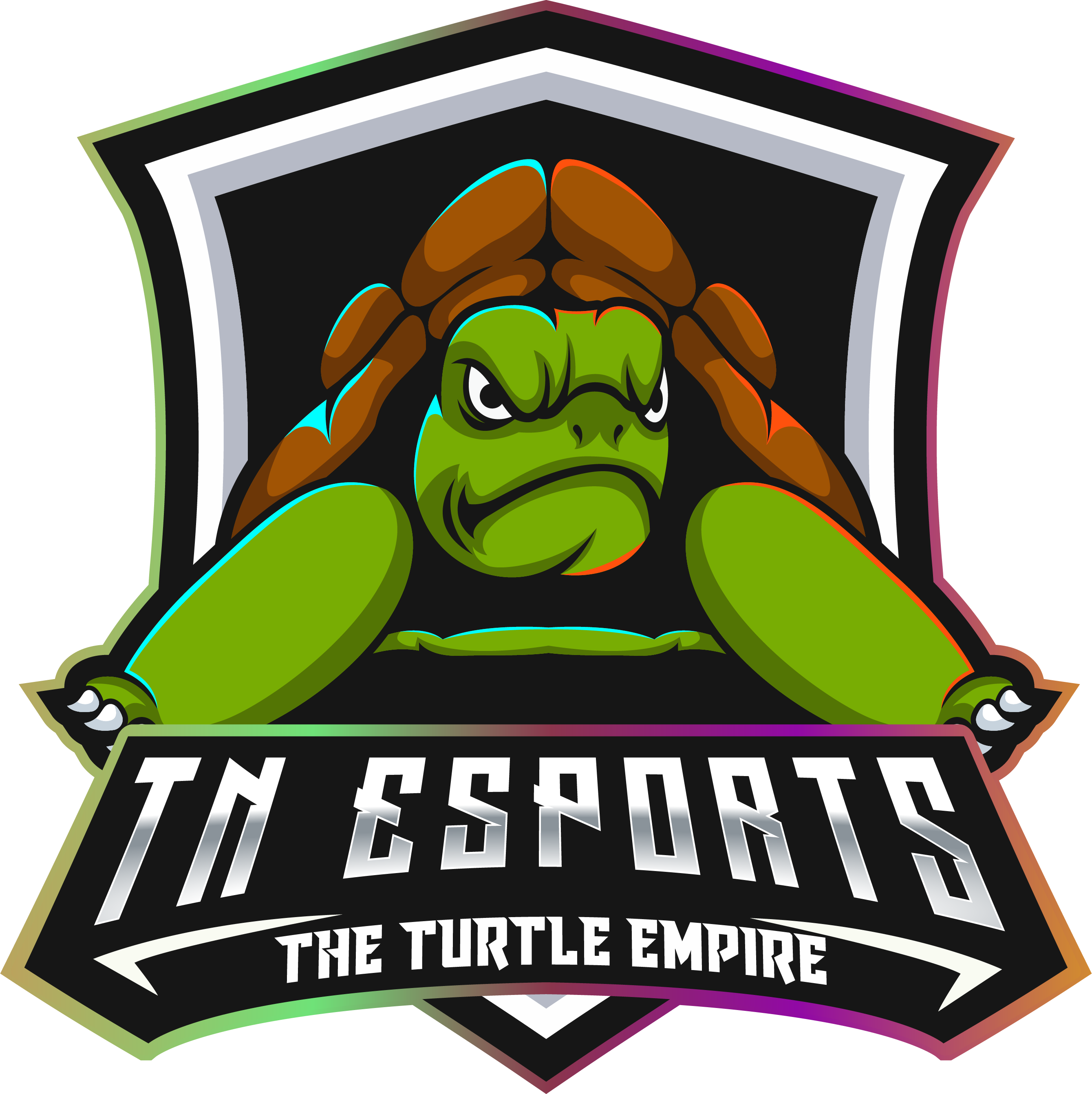 team logo