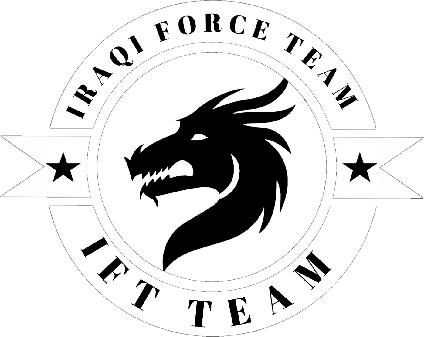 team logo