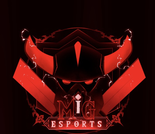 team logo