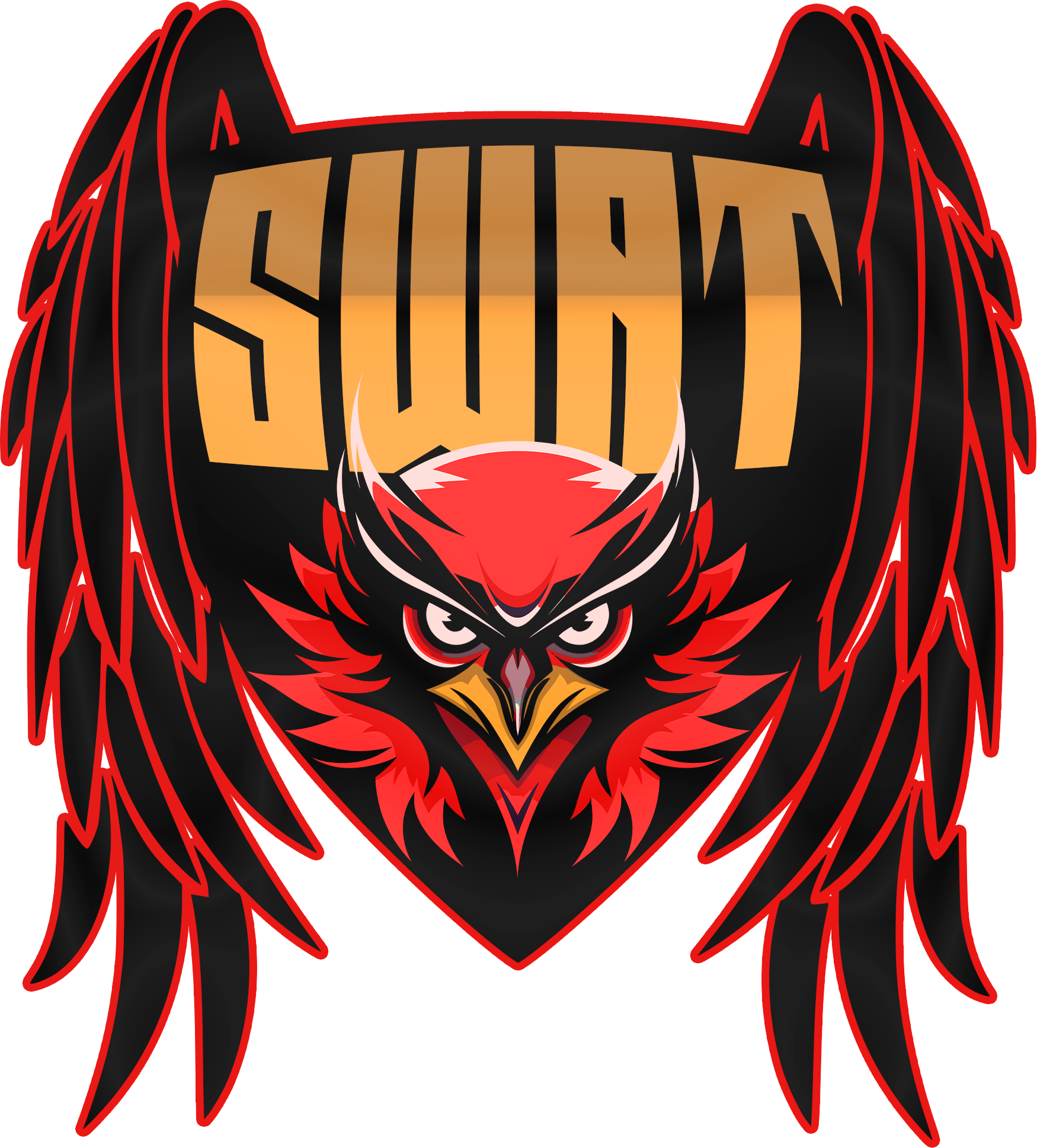 team logo