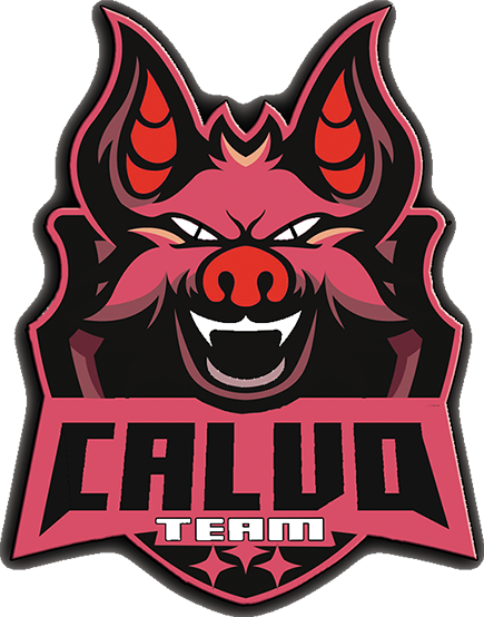 team logo