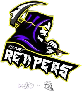 team logo