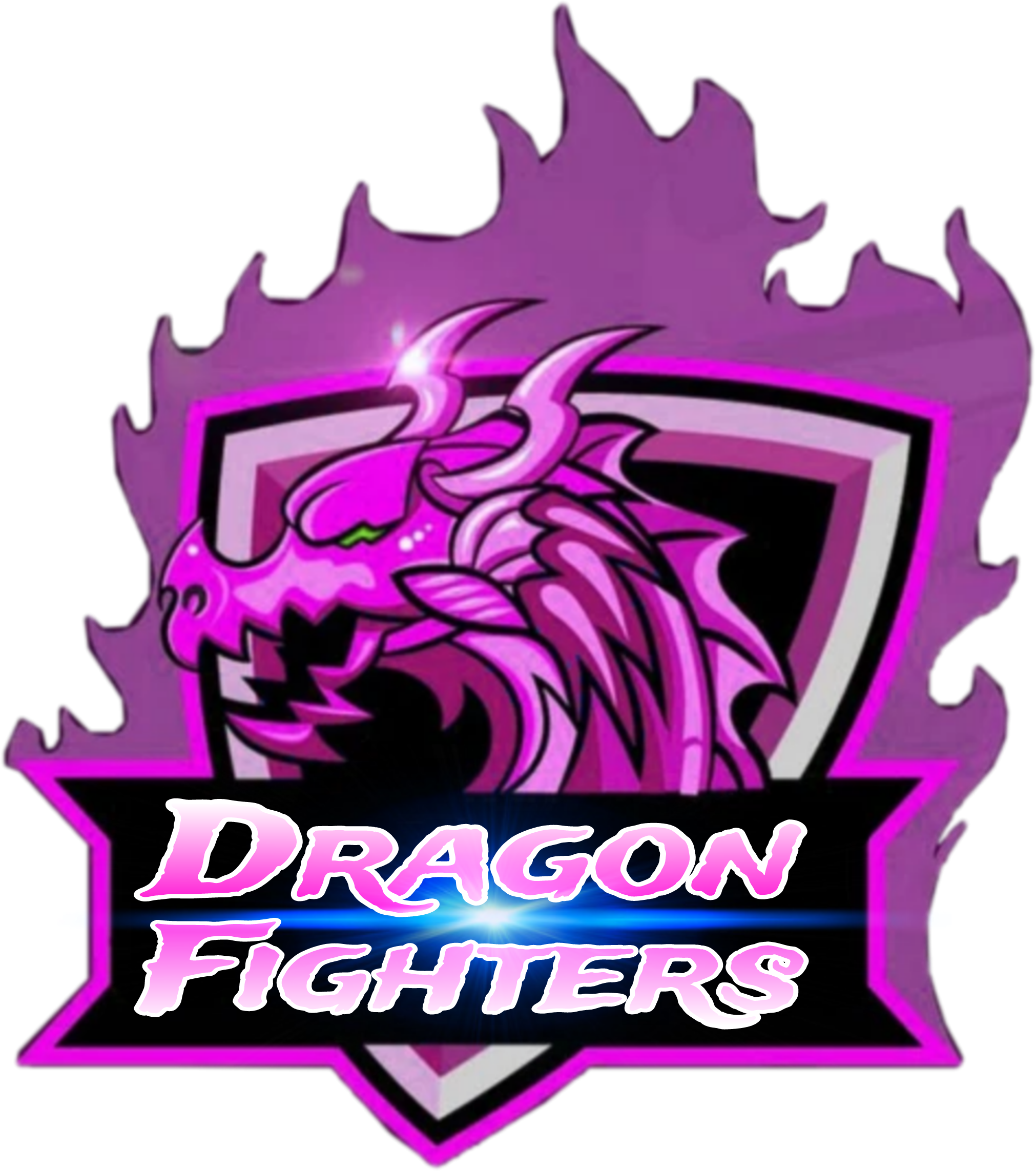 team logo