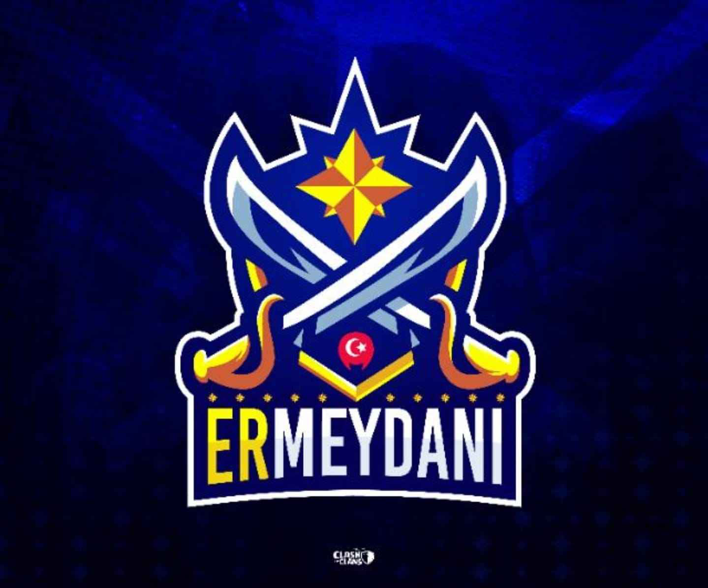 team logo