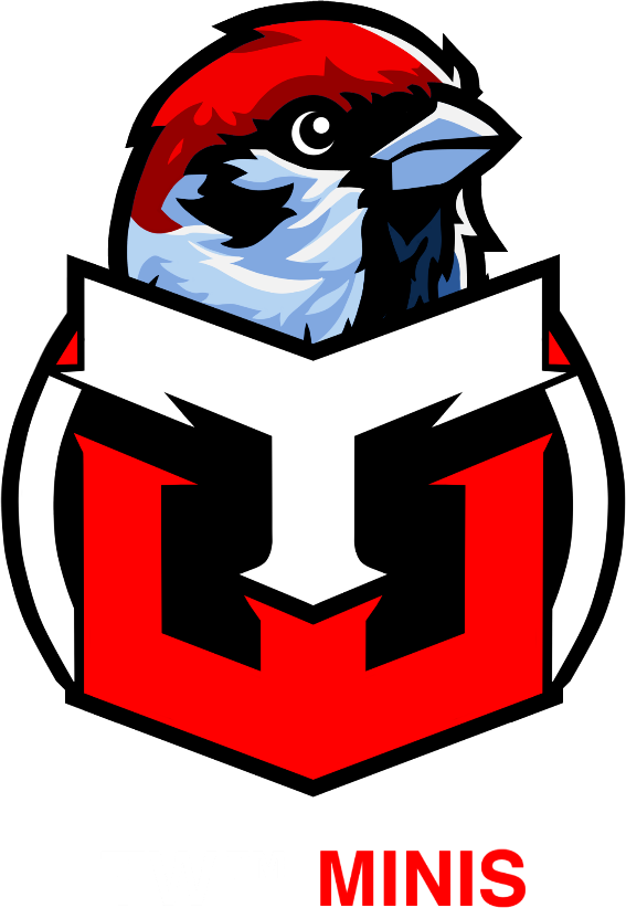 team logo