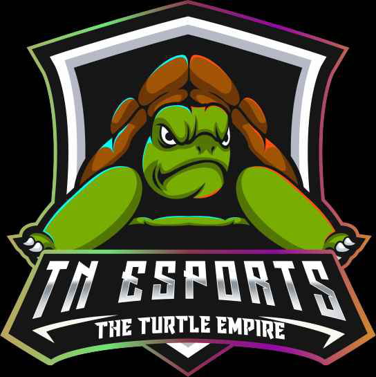 team logo