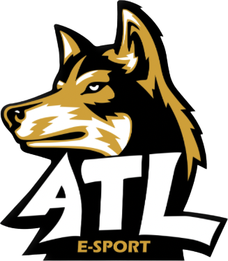 team logo