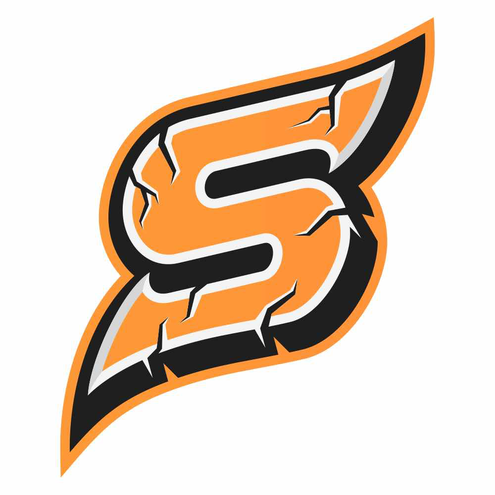 team logo