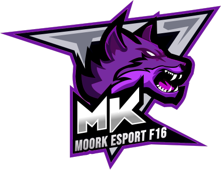 team logo