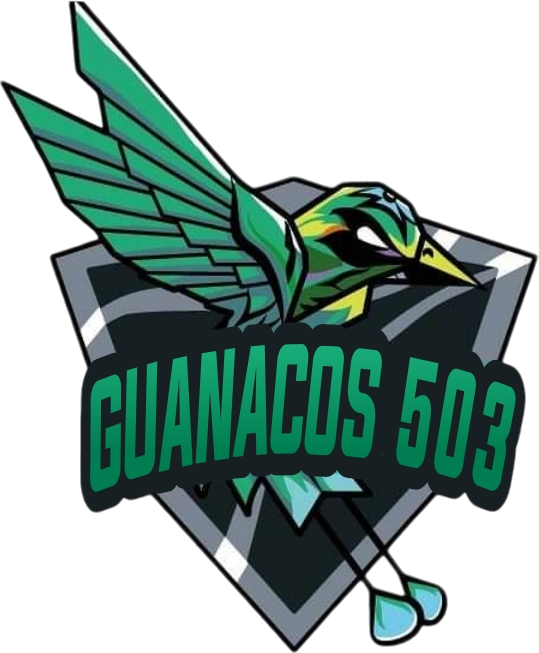 team logo