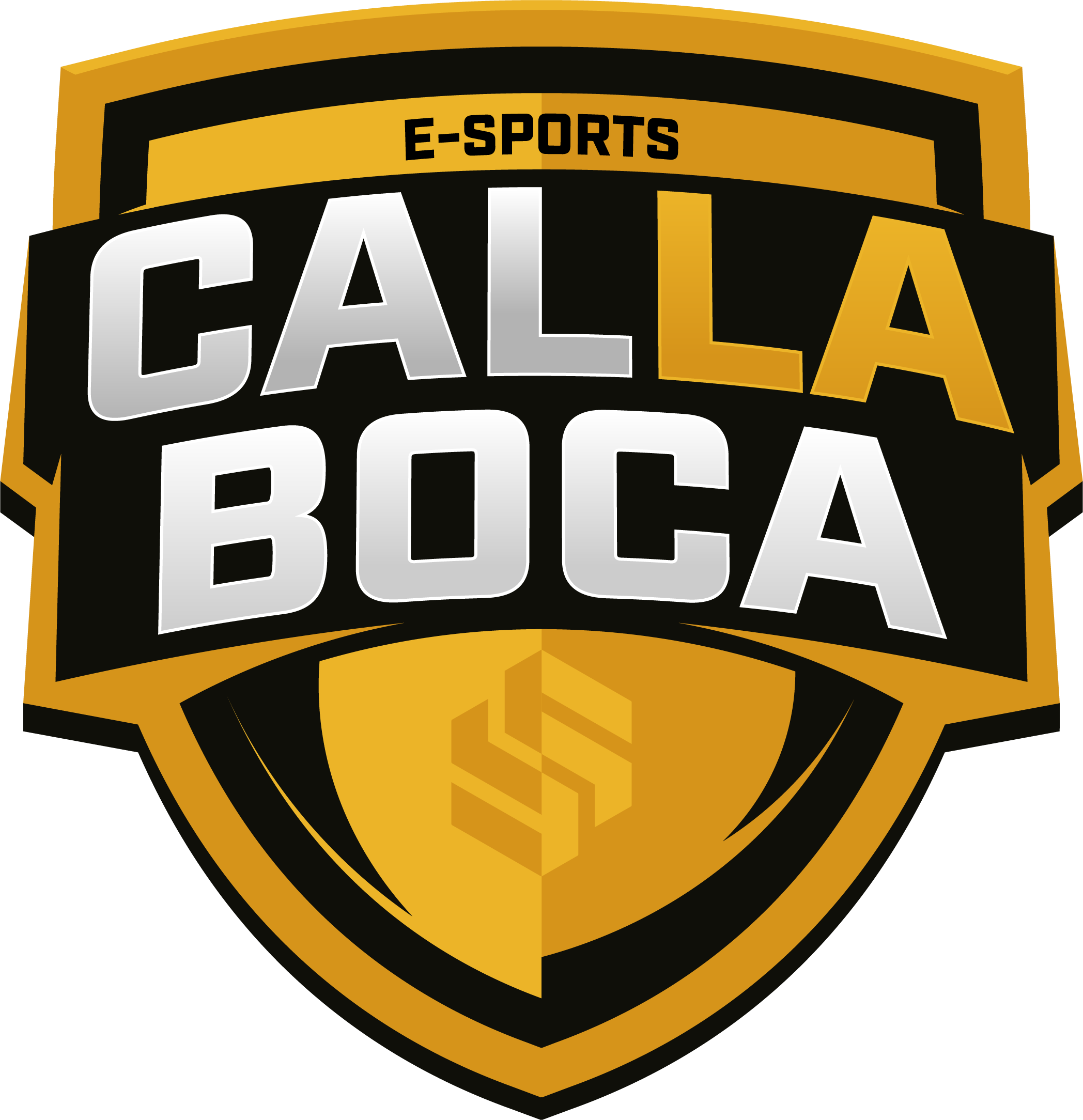 team logo