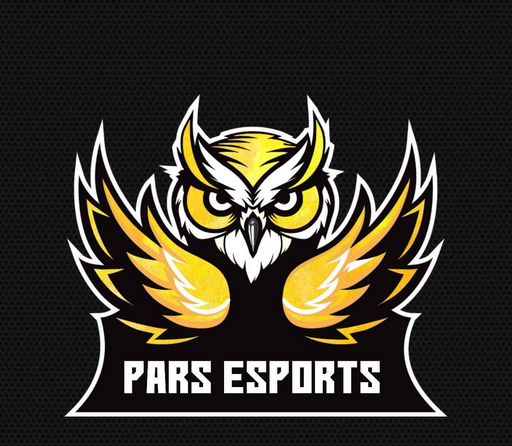 team logo