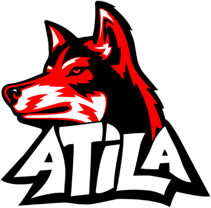 team logo