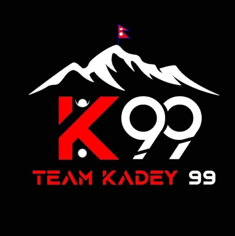 team logo