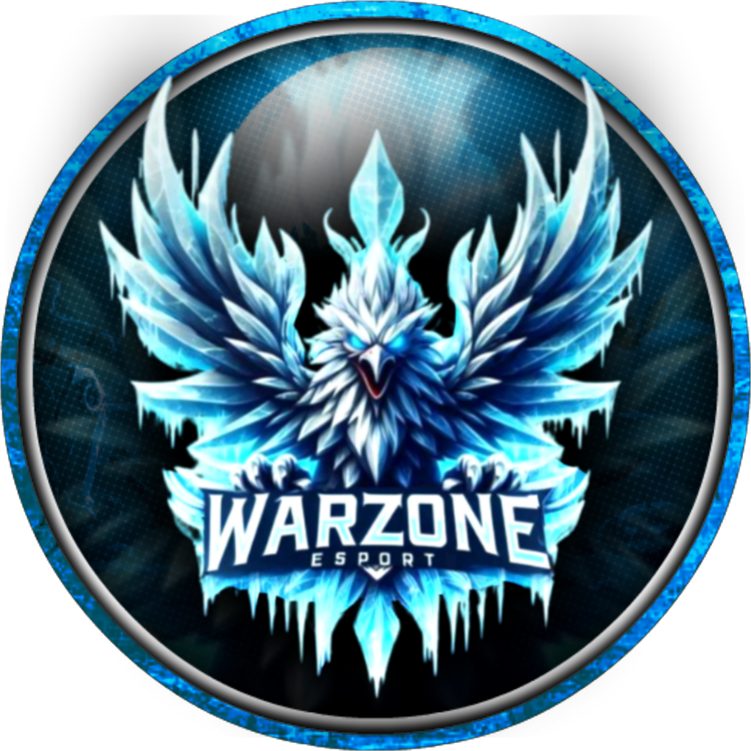 team logo