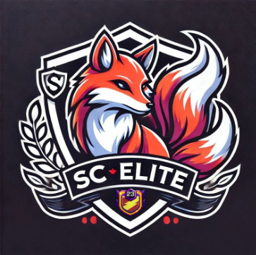 team logo