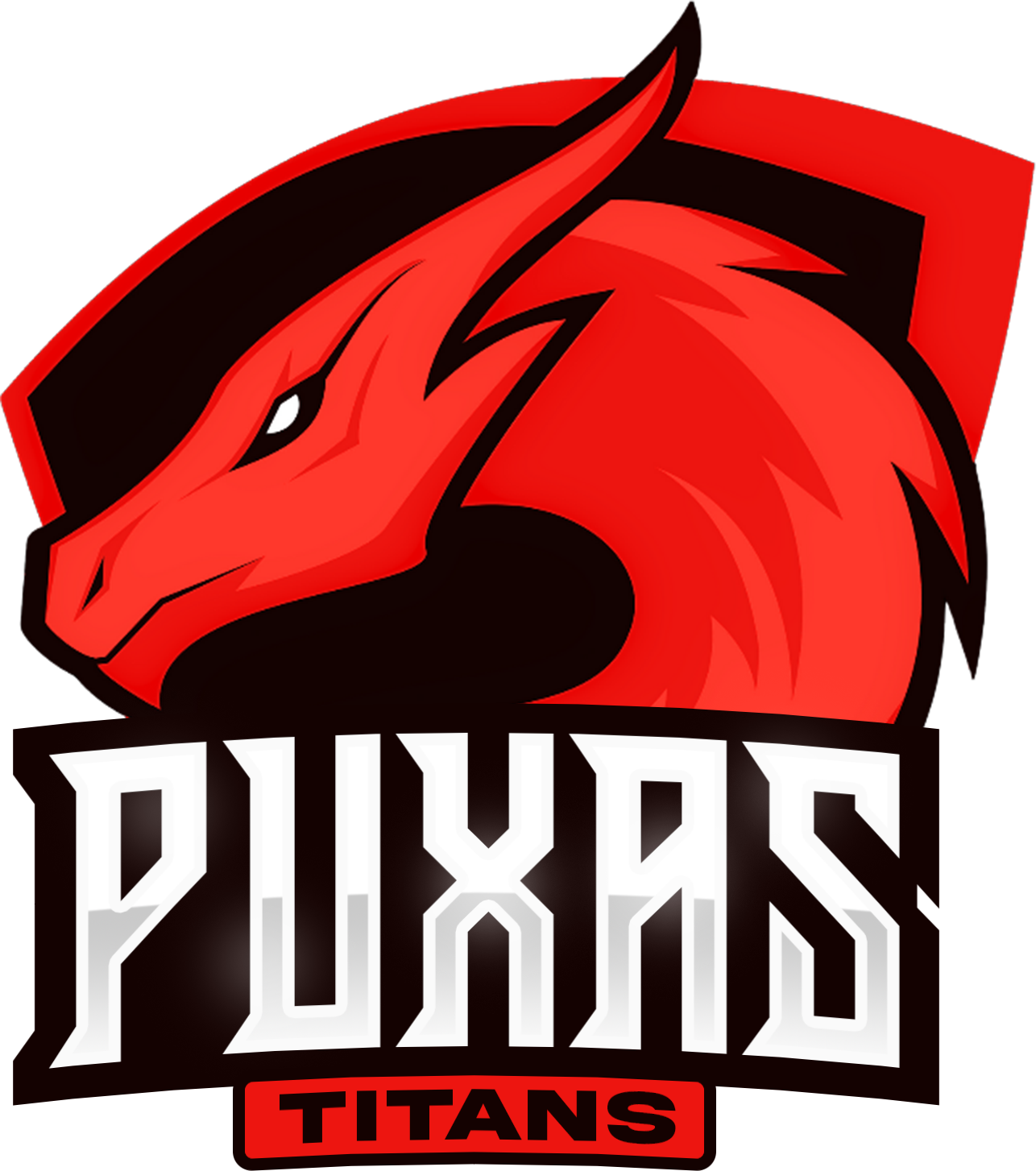 team logo