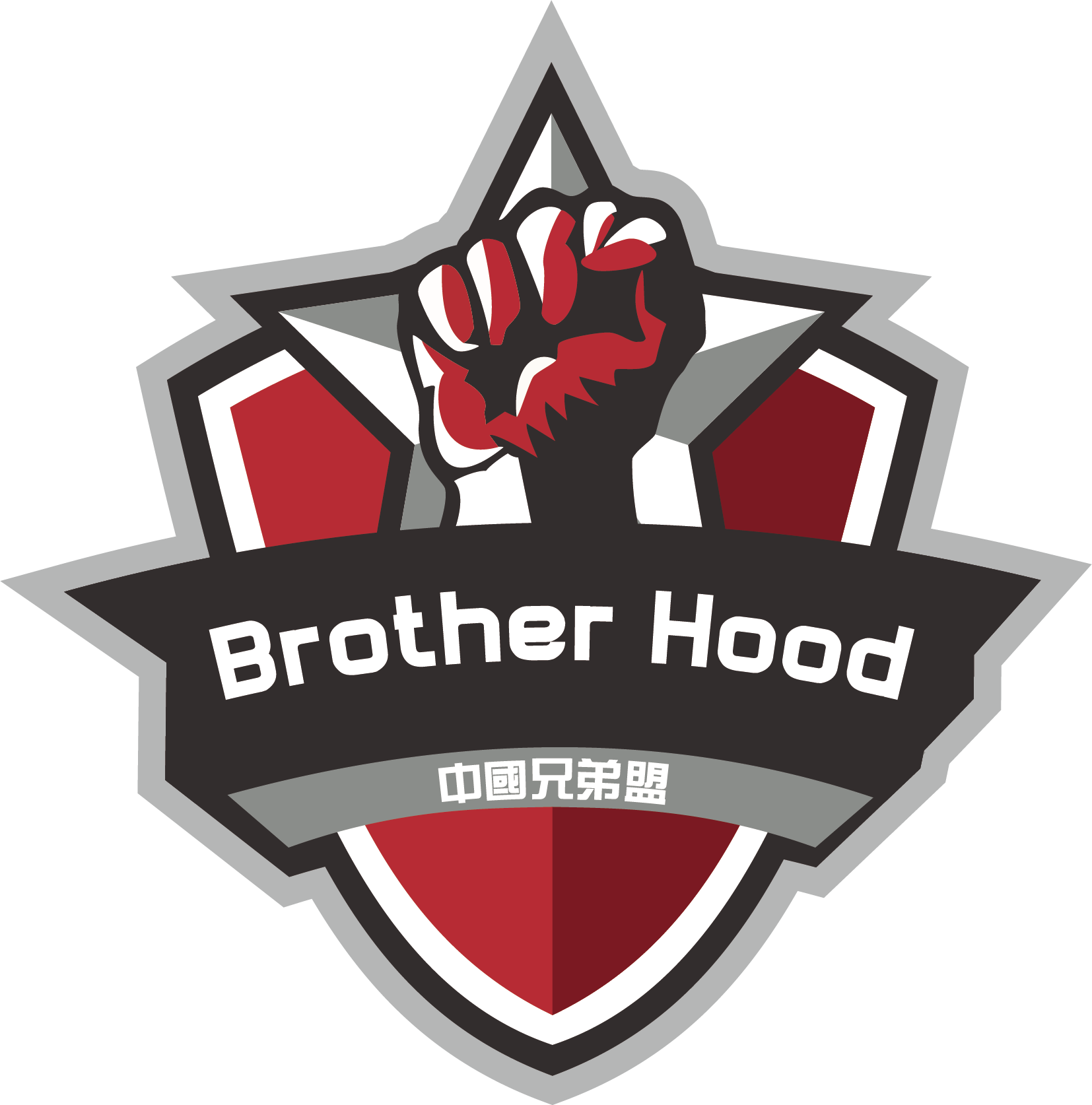 team logo