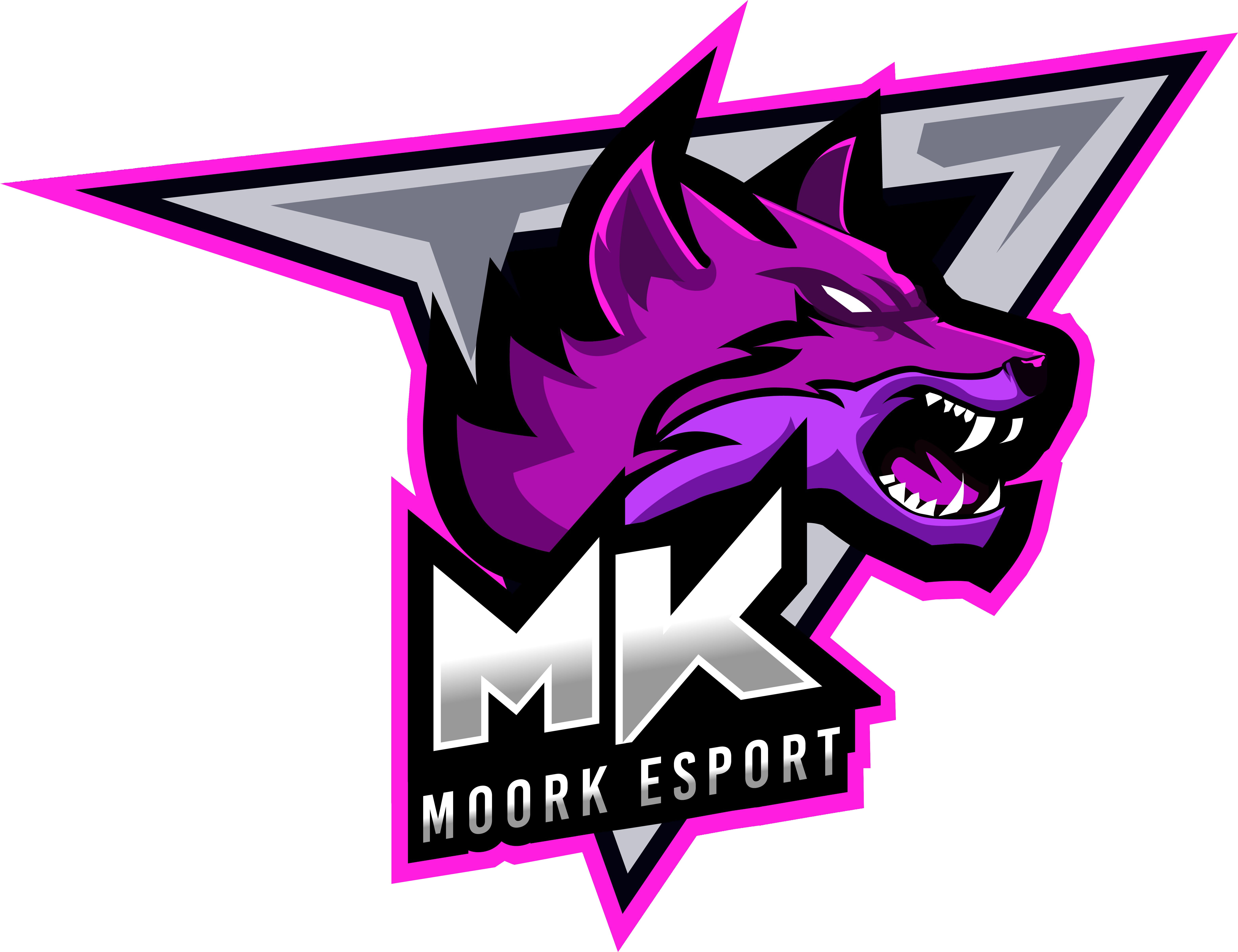 team logo