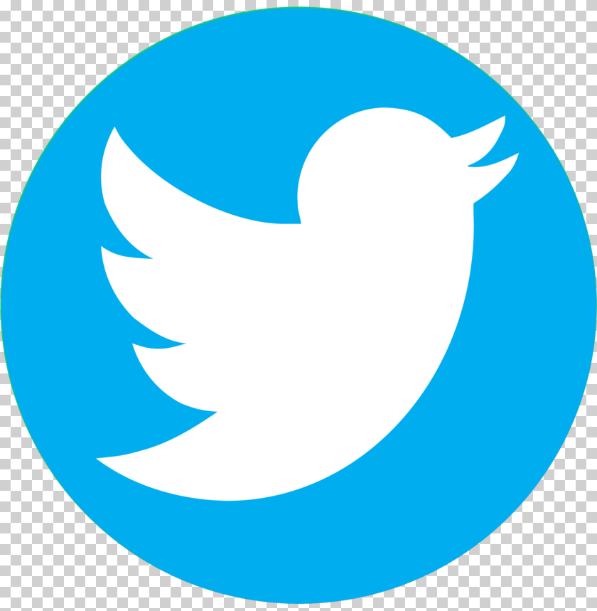 twitter logo